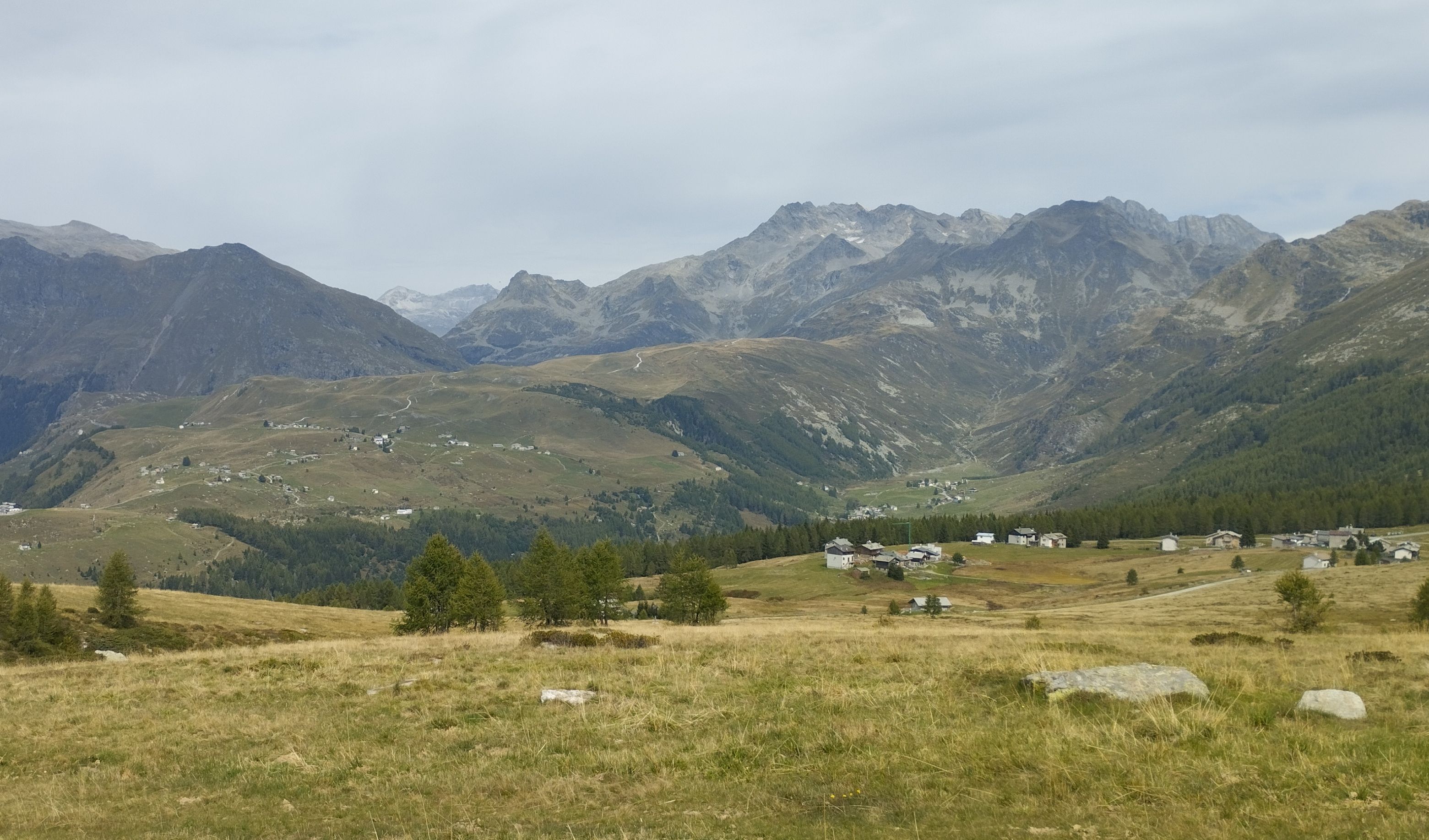 immagine del bando